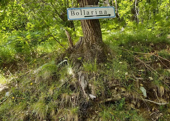 Dei Nonni-3 By Interhome Livo (Lombardy)